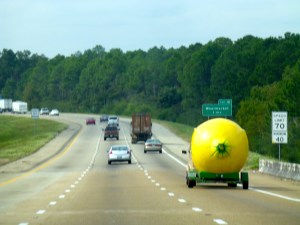::lemon on the road::